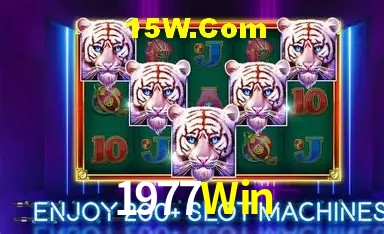 Tecnologia da Plataforma 1977Win