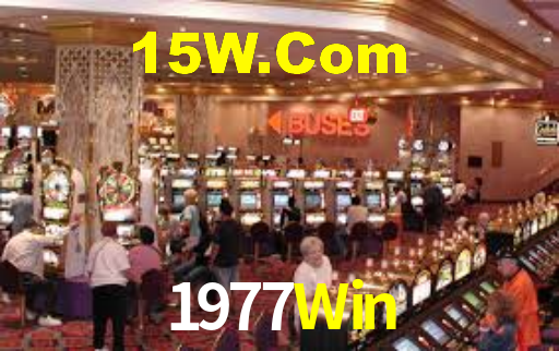 Premium Interface 1977Win
